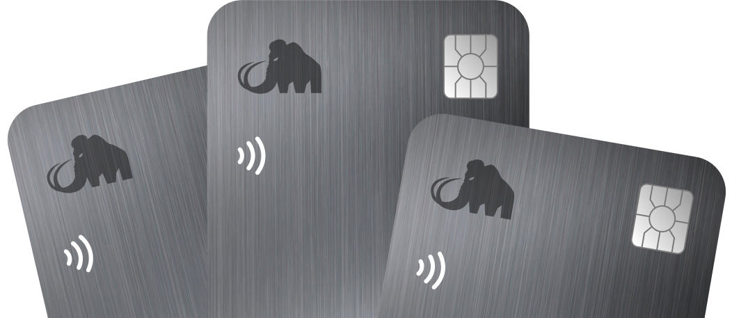 Payment Cards
