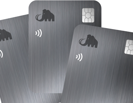 Payment Cards