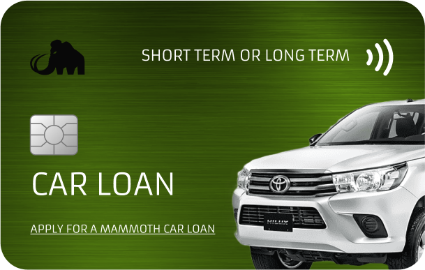 Asset Loan